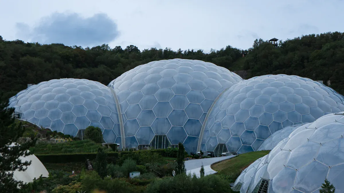 PrimeBiome Review 2025 What Real Users Are Saying Now